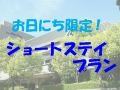 new-wel-city-miyazaki