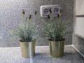 alterhome-apartamento-gran-via-iii
