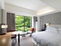 room overview picture