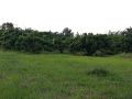 baan-saun-homestay-by-lamyai-khunmae