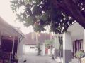 swandewi-homestay