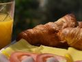 bandb-casa-palmera-adults-only