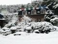 pocheon-forest-palace