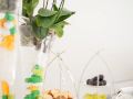 hotel-al-prato
