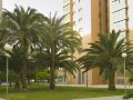 apartamentos-plaza-picasso