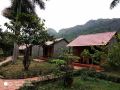 whisper-nature-bungalow-and-resort