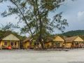 orchid-resort