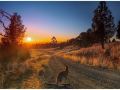 bulwarra-accommodation-heritage-studio