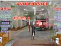 cat-ba-hostel