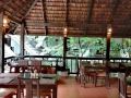 rainforest-chiang-mai-hotel