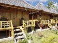 green-bamboo