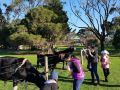 ripples-n-tonic-farmstay