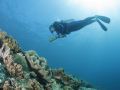 divegurus-boracay-beach-resort