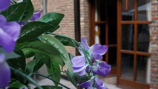 charming-suites-jan-zonder-vrees
