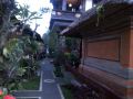 depa-house