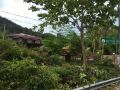 my-forest-hotel-langkawi