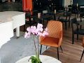 golden-circle-suites