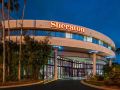 sheraton-tampa-brandon-hotel
