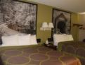 room overview picture