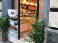 vanella-rome-domus