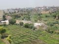 hotel-savi-regency