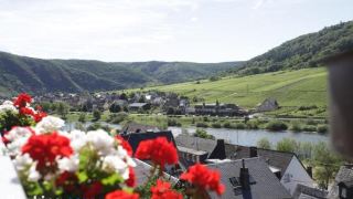 ferienwohnung-moselblick-stein