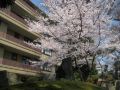 kkr-kyoto-kuniso