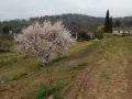 casa-rural-la-vallejera
