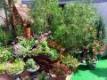 adlerok-guest-house