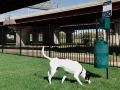 staybridge-suites-oklahoma-city-dwtn-bricktown-an-ihg-hotel