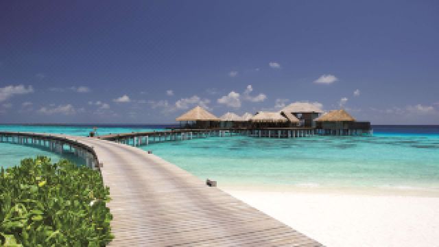 coco-bodu-hithi