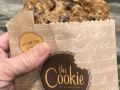 doubletree-by-hilton-phoenix-chandler