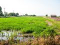 pludhaya-resort-and-spa