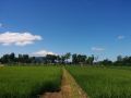 iwamuro-slow-hostel