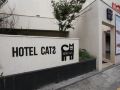 cats-hotel-suwon