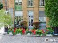 the-zetter-hotel