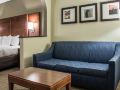 comfort-suites-research-park-university