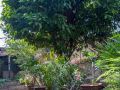 cozy-mount-erskine-homestay