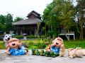 pai-loess-resort