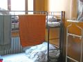 koala-hostel