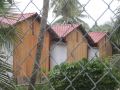 coconut-homestay