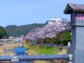 seiryuso