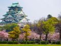himesato-guesthouse-icone