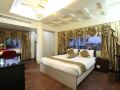 the-nagpur-ashok