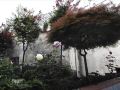 caprino-bandb