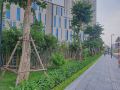 lunetta-serviced-apartment