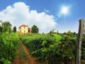 cascina-desderi