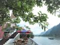 funny-monkeys-homestay