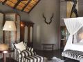 motswari-private-game-reserve