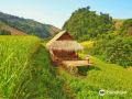 kowitfarmstay